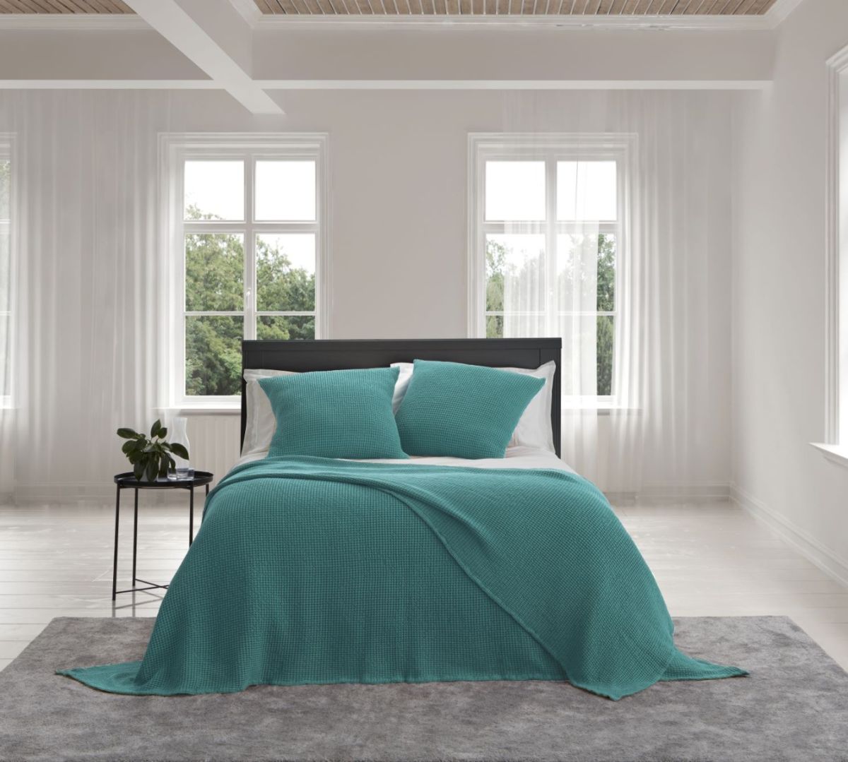 Eucalyptus New Bliss Euro Pillowcase
